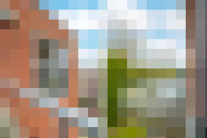 Veenwortelstraat 67 Arnhem thumbnail 15