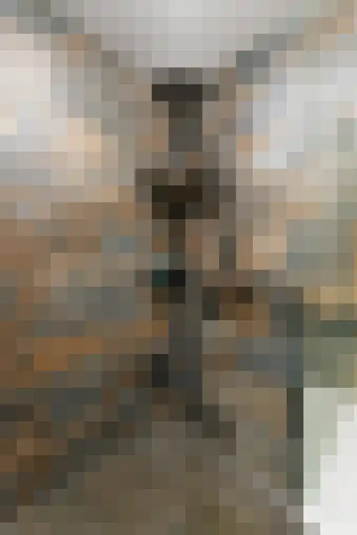 Veenwortelstraat 85 Arnhem thumbnail 32
