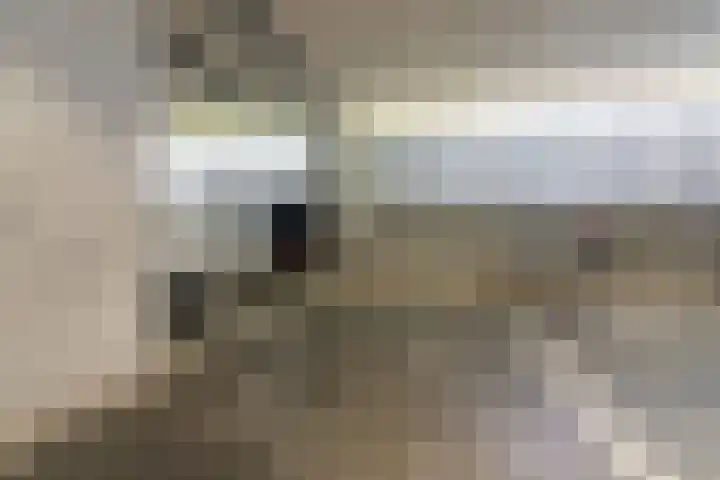 Veenwortelstraat 85 Arnhem thumbnail 34