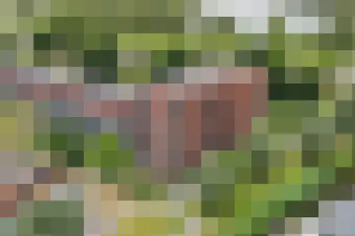 Veenwortelstraat 85 Arnhem thumbnail 39