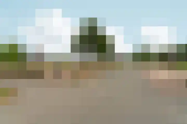 Veenwortelstraat 85 Arnhem thumbnail 43