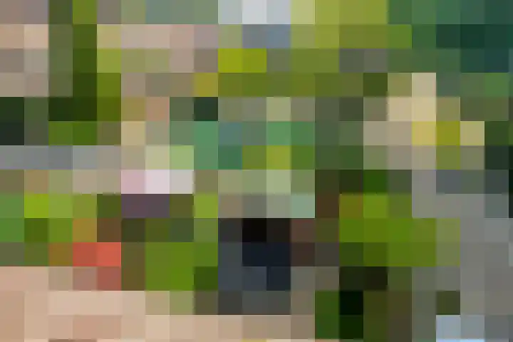 Veenwortelvaart 12 Zoetermeer thumbnail 25