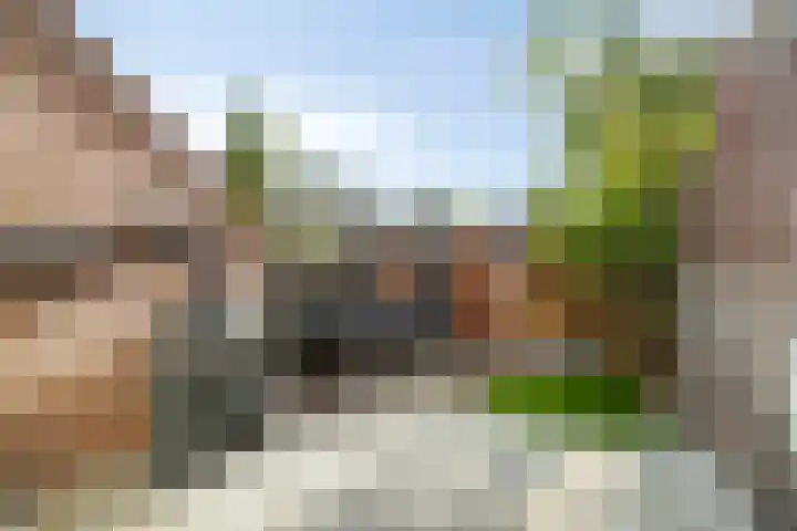 Veenwortelvaart 12 Zoetermeer thumbnail 26