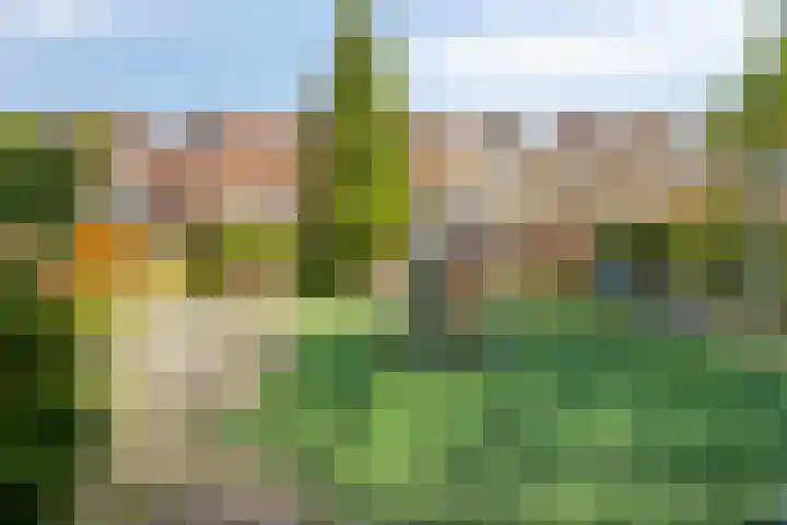 Veenwortelvaart 12 Zoetermeer thumbnail 29