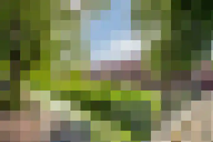Veenwortelvaart 12 Zoetermeer thumbnail 30