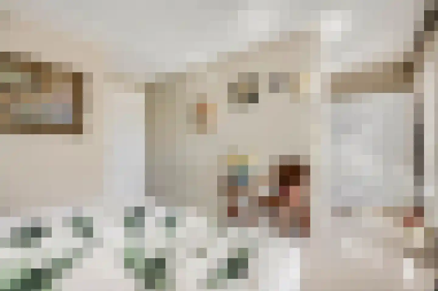 Veenwoud 25 Ede thumbnail 21
