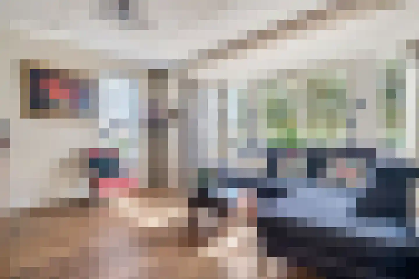 Veenwoud 25 Ede thumbnail 4