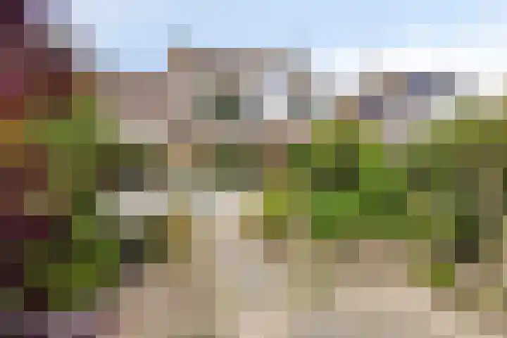 Veenzoom 1 d Gouda thumbnail 11