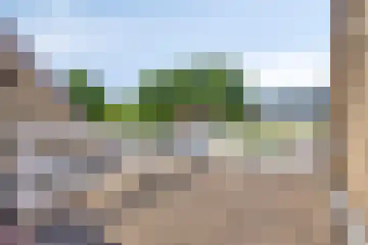 Veenzoom 1 d Gouda thumbnail 19