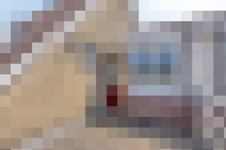 Veenzoom 1 d Gouda thumbnail 20