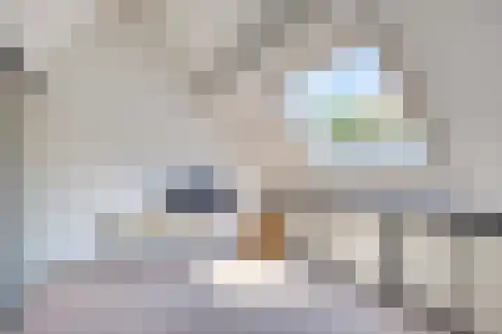 Veenzoom 1 d Gouda thumbnail 27