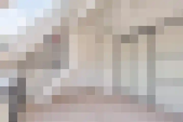 Veenzoom 1 d Gouda thumbnail 28
