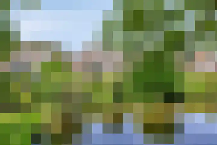 Veenzoom 1 d Gouda thumbnail 29