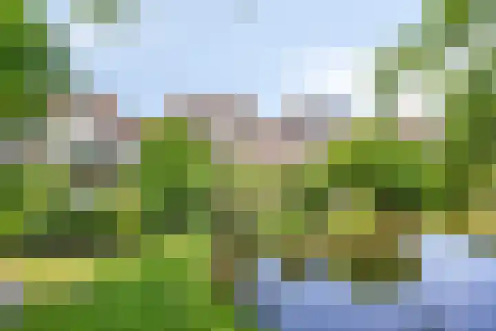 Veenzoom 1 d Gouda thumbnail 30