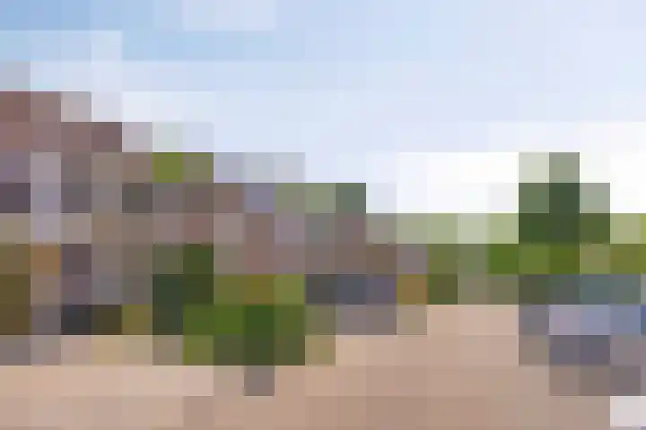 Veenzoom 1 d Gouda thumbnail 31