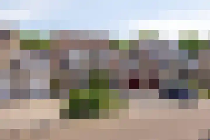 Veenzoom 1 d Gouda thumbnail 32