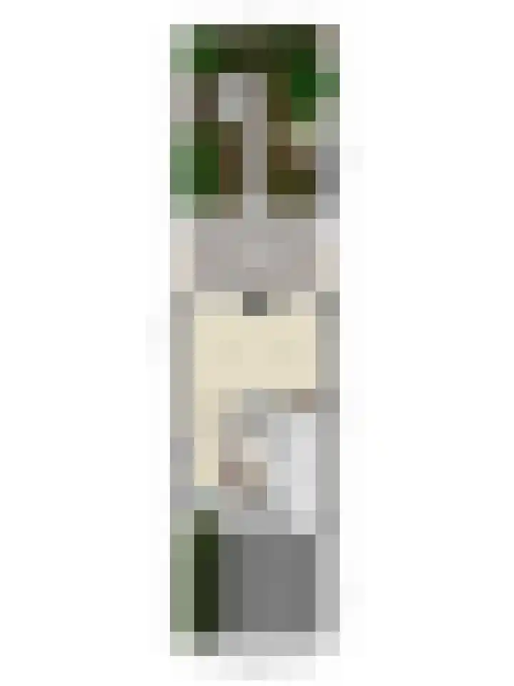 Veenzoom 1 d Gouda thumbnail 34