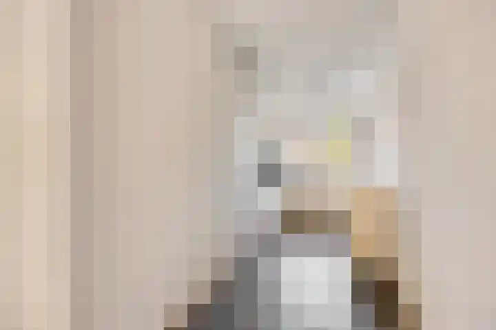 Veenzoom 1 d Gouda thumbnail 7