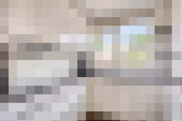 Veenzoom 1 d Gouda thumbnail 8