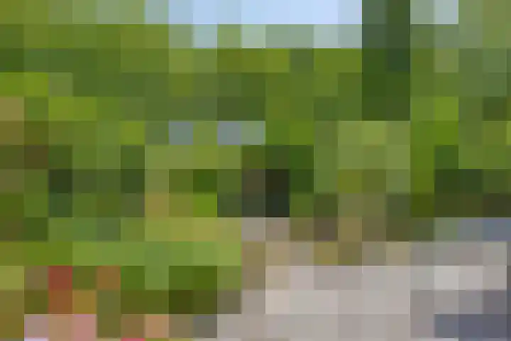 Veenzoom 1 d Gouda thumbnail 9