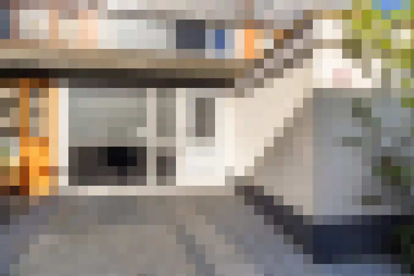 Veenzoom 221 Gouda thumbnail 10