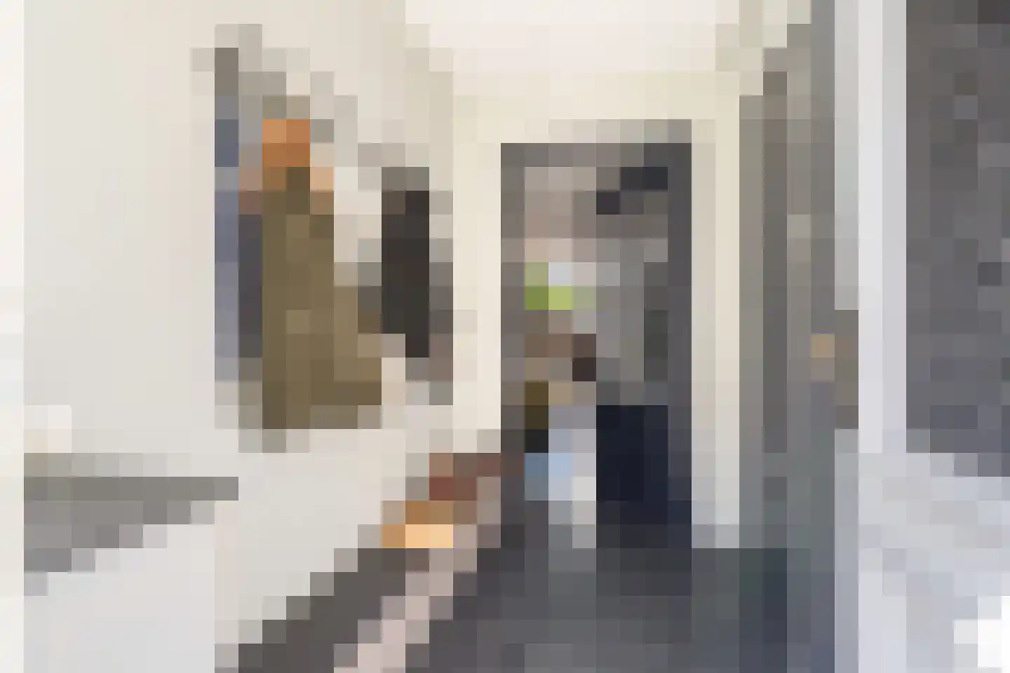 Veenzoom 221 Gouda thumbnail 11
