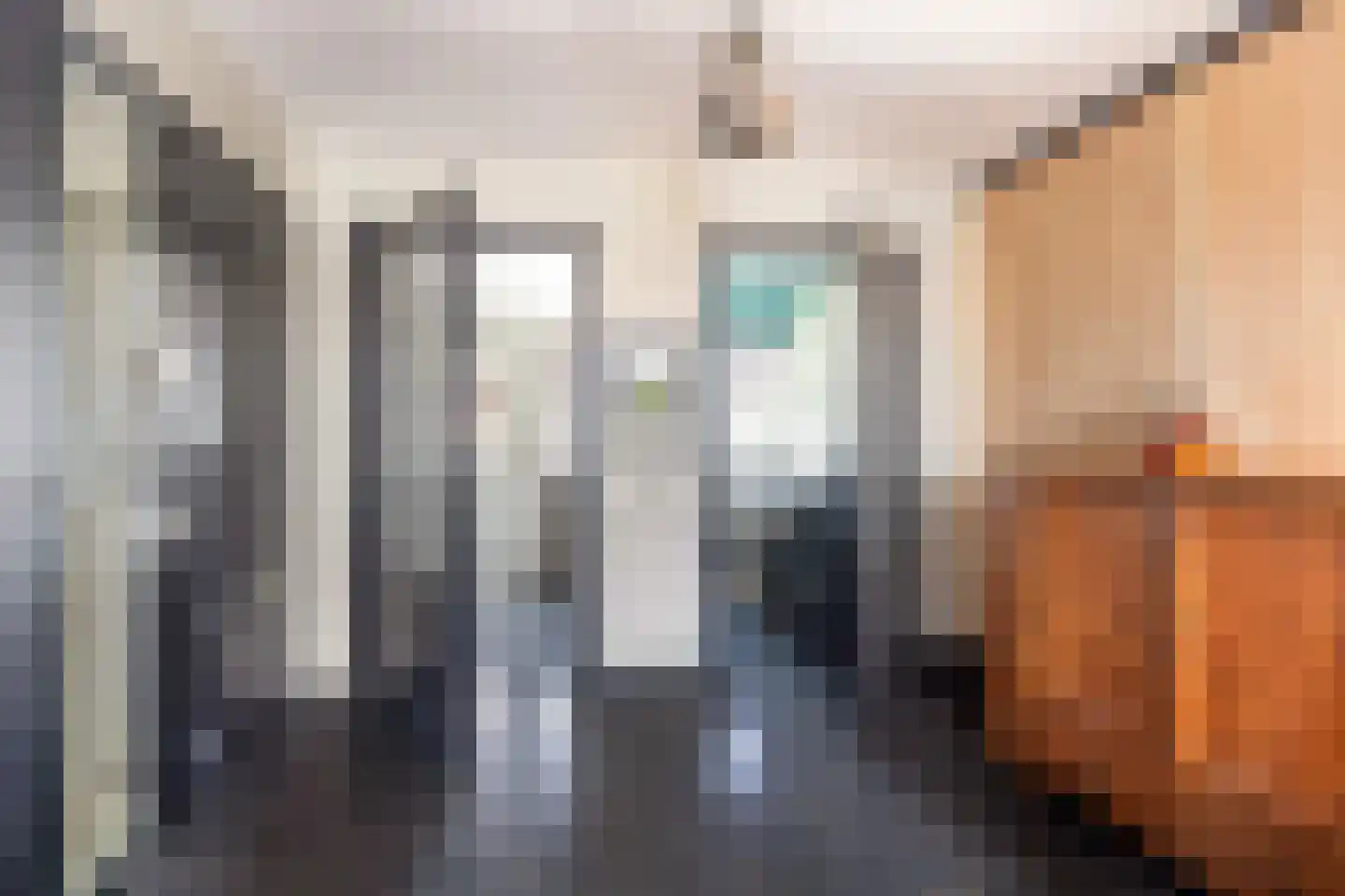 Veenzoom 221 Gouda thumbnail 12