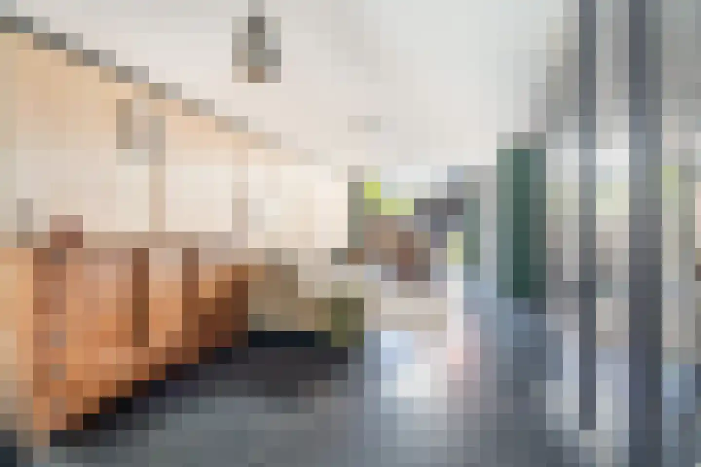 Veenzoom 221 Gouda thumbnail 13