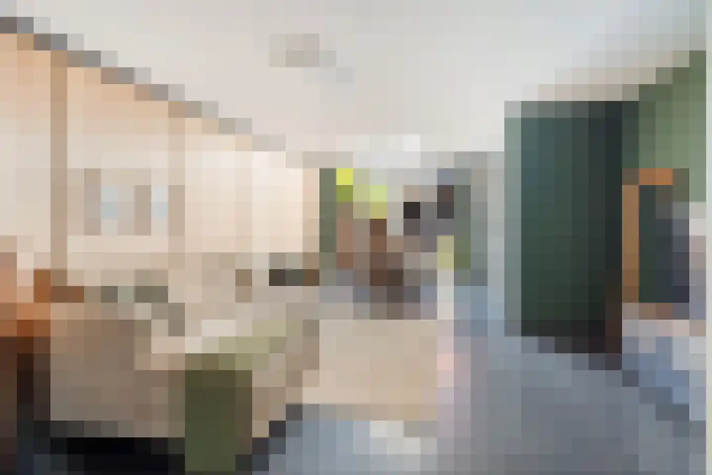 Veenzoom 221 Gouda thumbnail 14