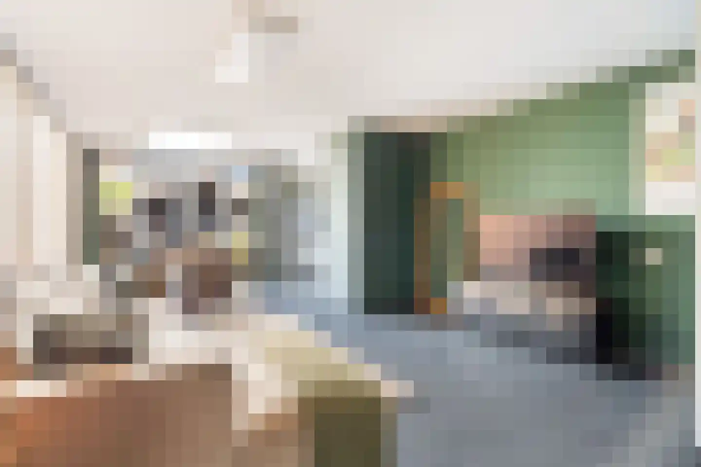Veenzoom 221 Gouda thumbnail 15