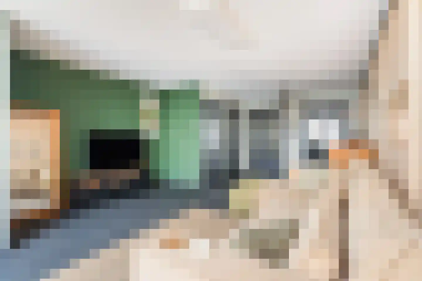 Veenzoom 221 Gouda thumbnail 16