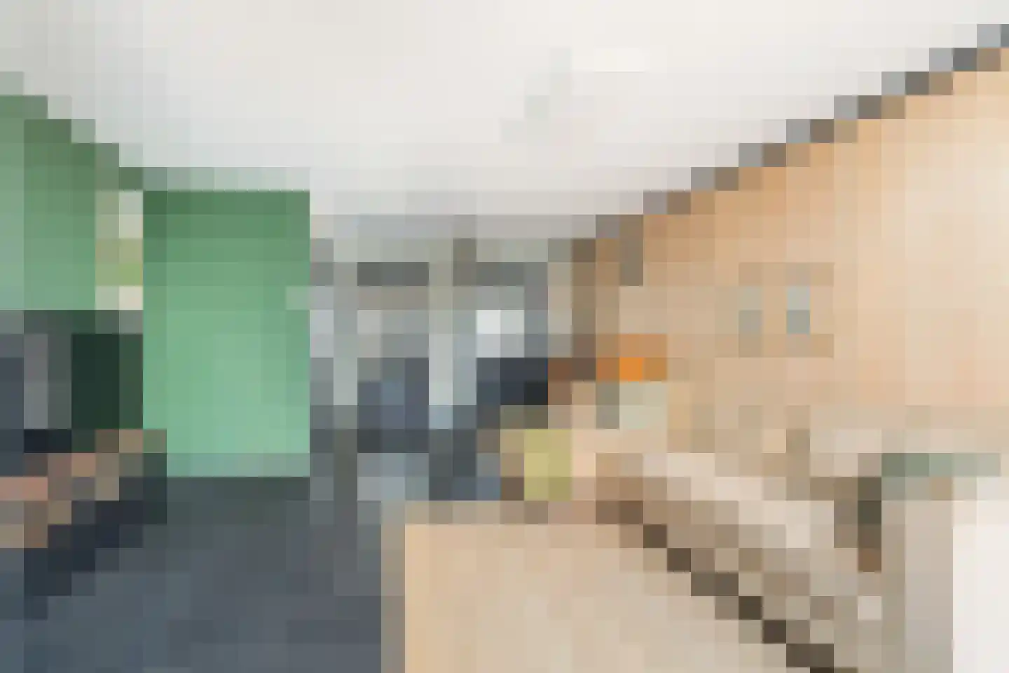 Veenzoom 221 Gouda thumbnail 17