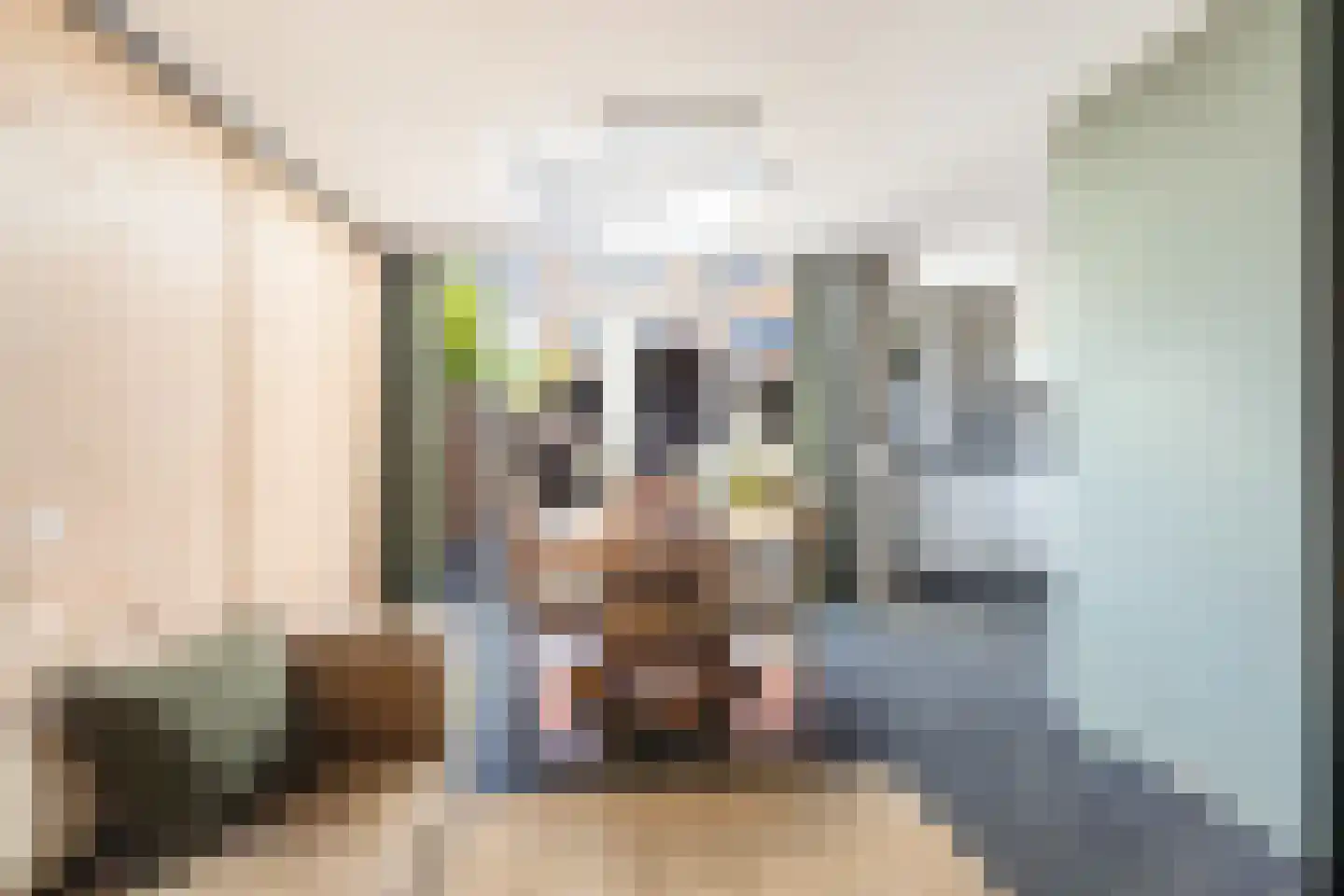 Veenzoom 221 Gouda thumbnail 18
