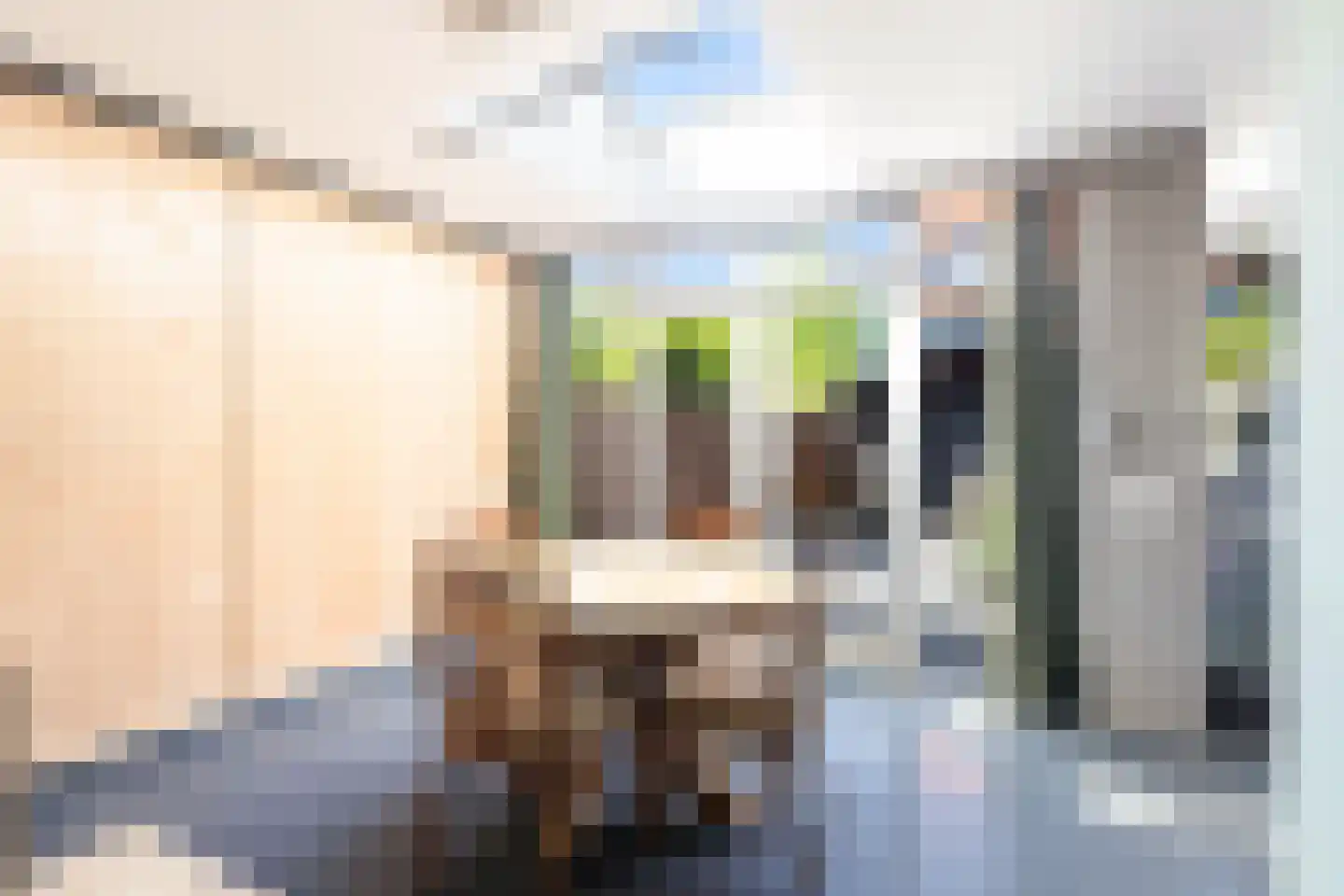 Veenzoom 221 Gouda thumbnail 19