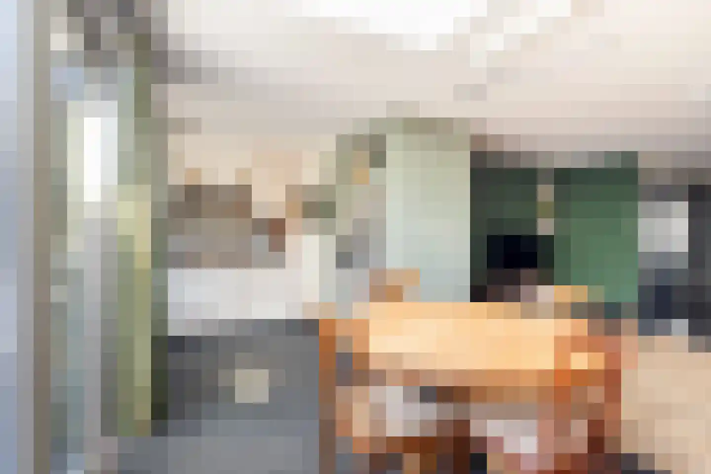 Veenzoom 221 Gouda thumbnail 20