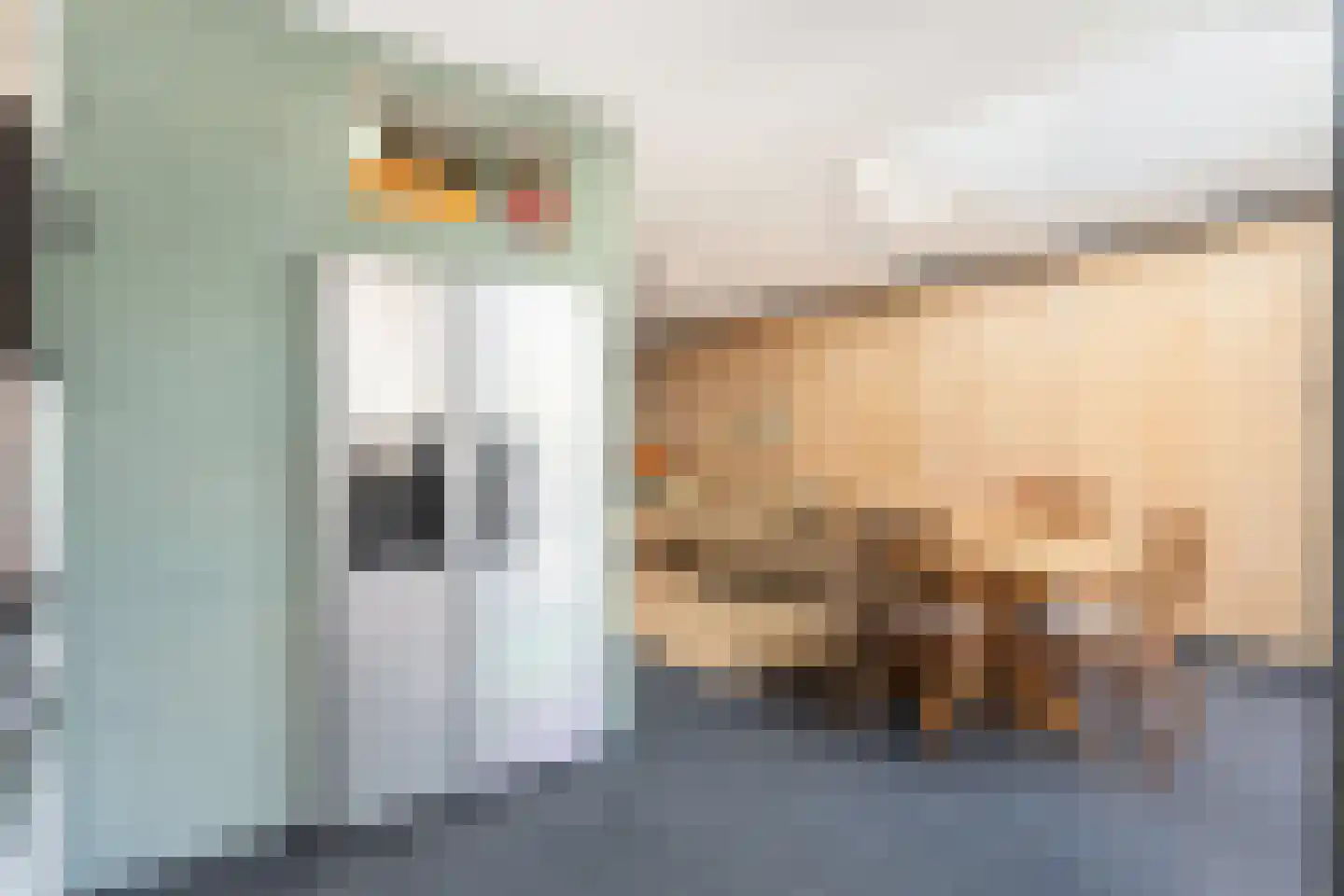 Veenzoom 221 Gouda thumbnail 21