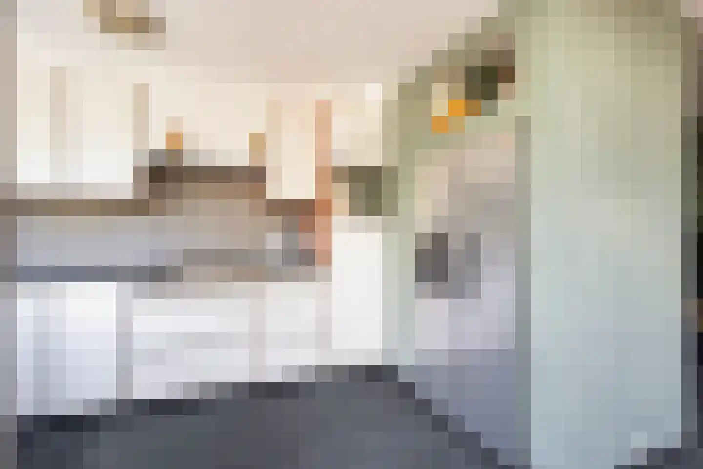 Veenzoom 221 Gouda thumbnail 22