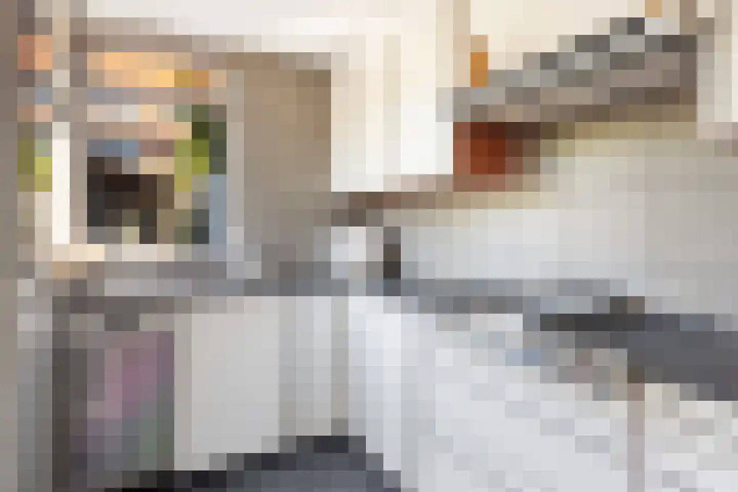 Veenzoom 221 Gouda thumbnail 23