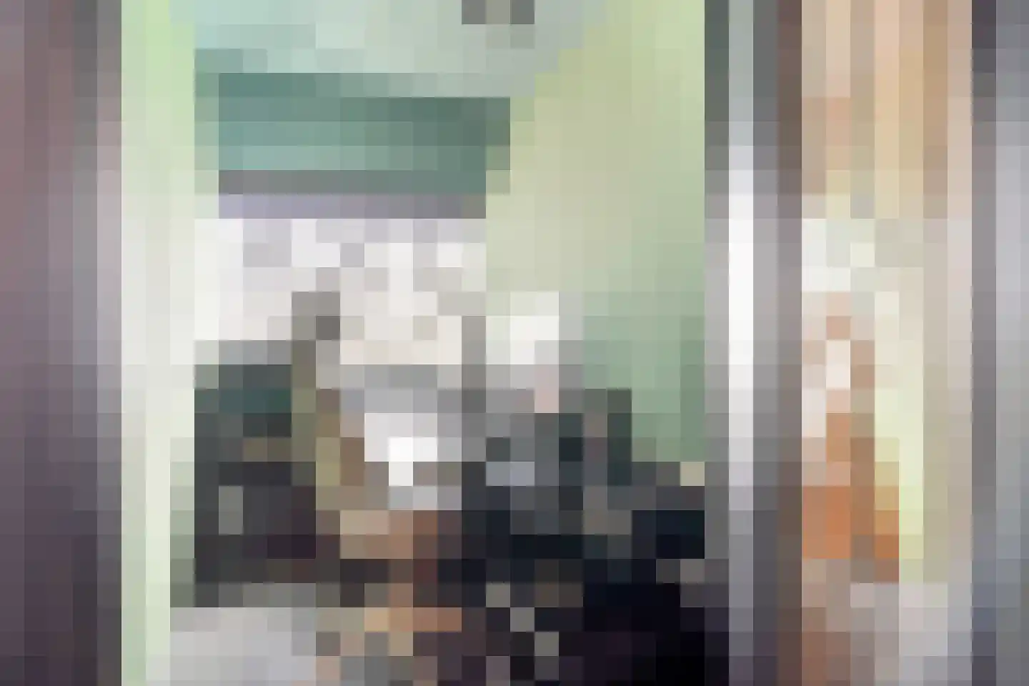 Veenzoom 221 Gouda thumbnail 25