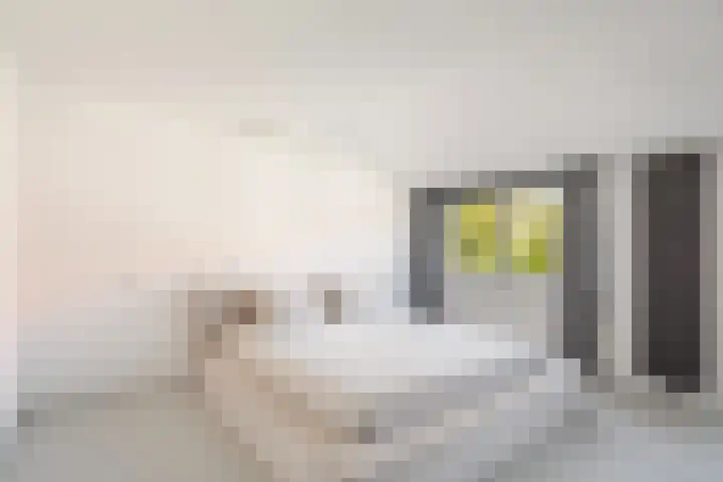 Veenzoom 221 Gouda thumbnail 29