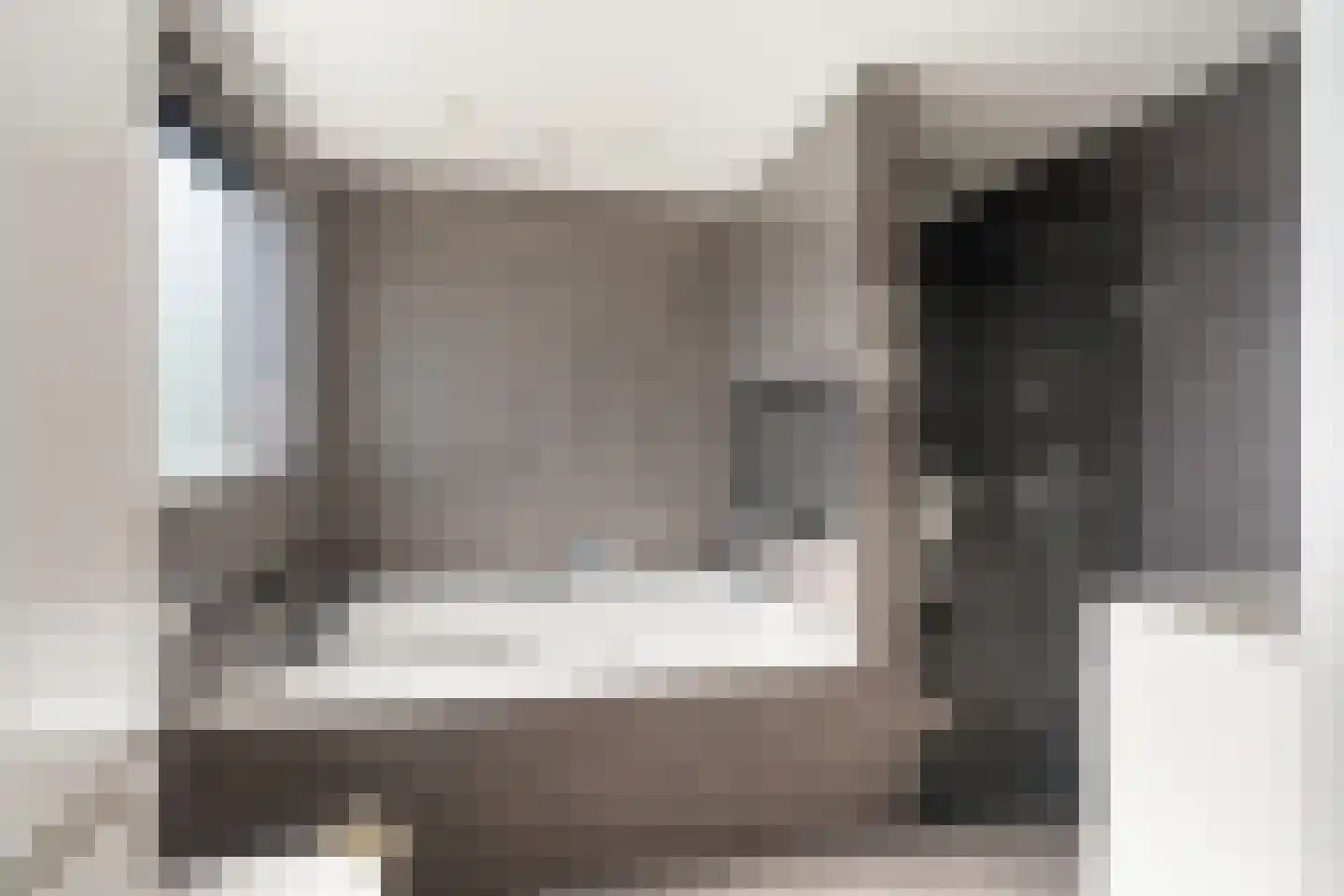 Veenzoom 221 Gouda thumbnail 32