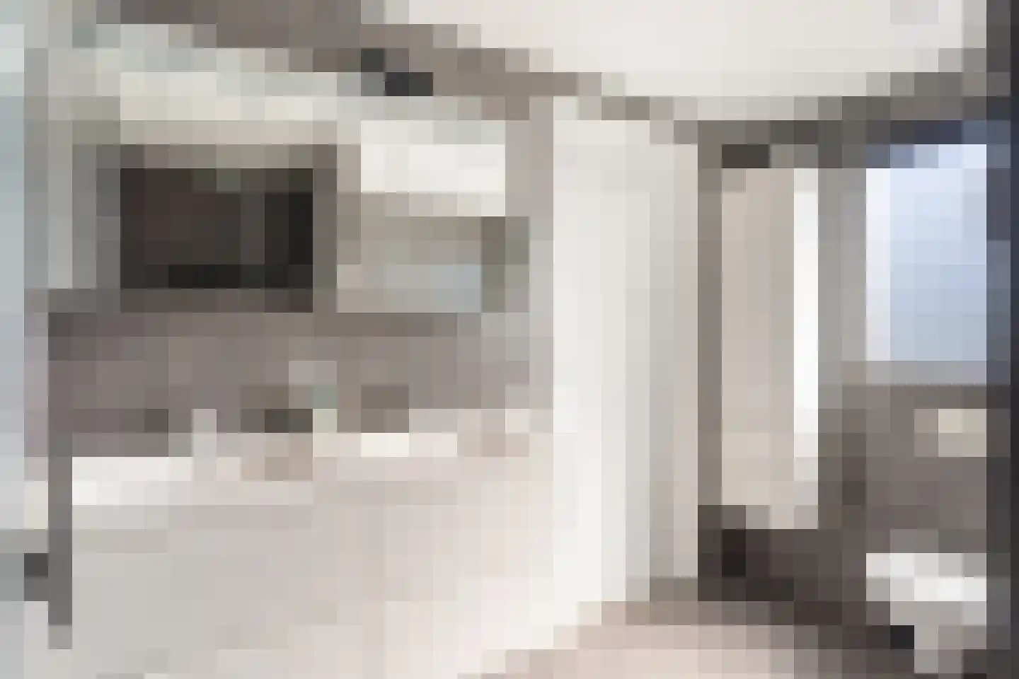 Veenzoom 221 Gouda thumbnail 33