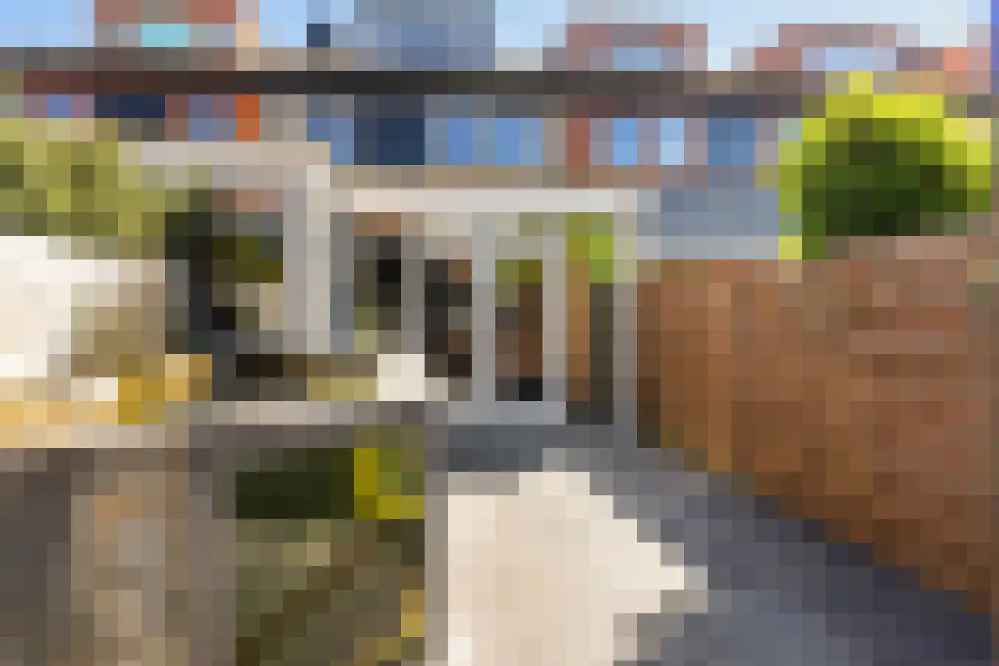 Veenzoom 221 Gouda thumbnail 42