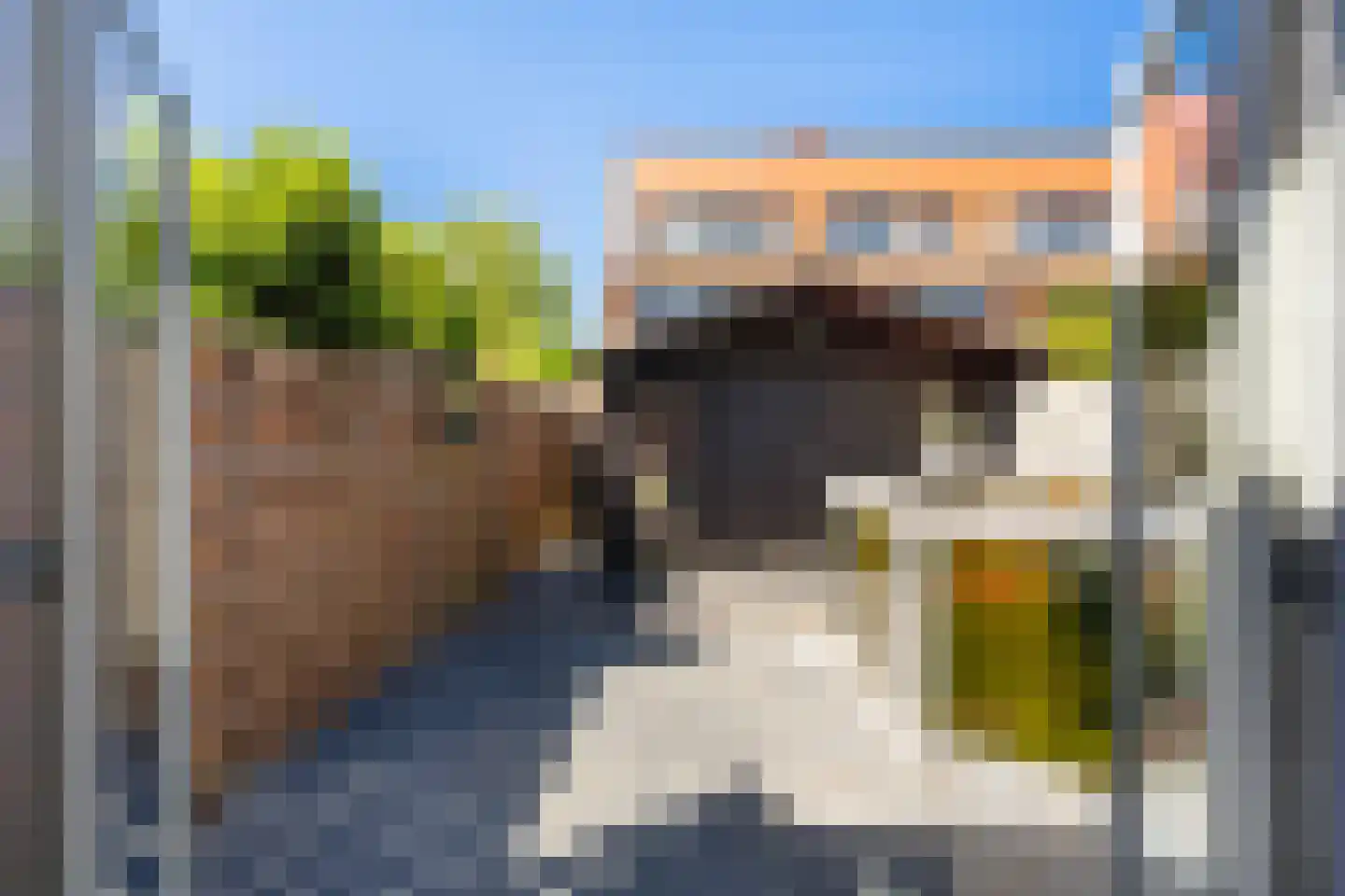 Veenzoom 221 Gouda thumbnail 43