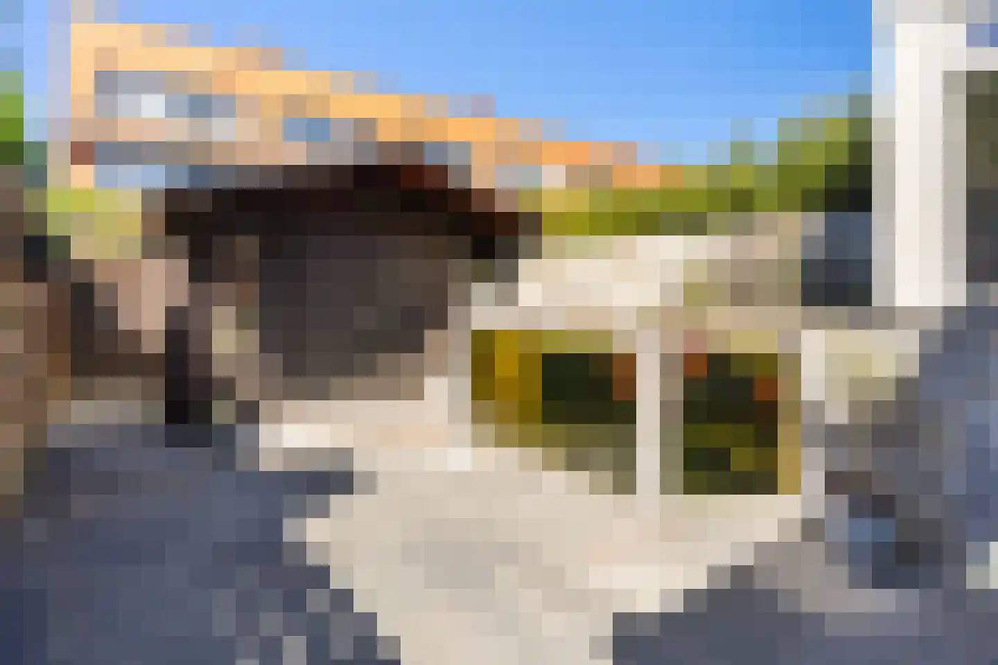 Veenzoom 221 Gouda thumbnail 44