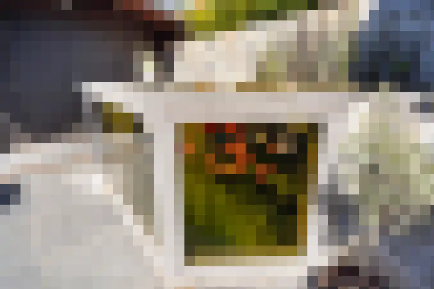 Veenzoom 221 Gouda thumbnail 45