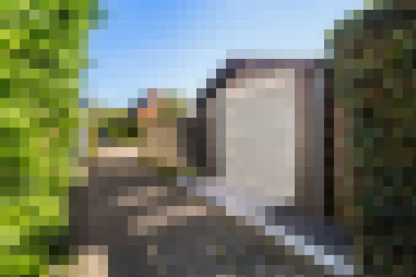 Veenzoom 221 Gouda thumbnail 46