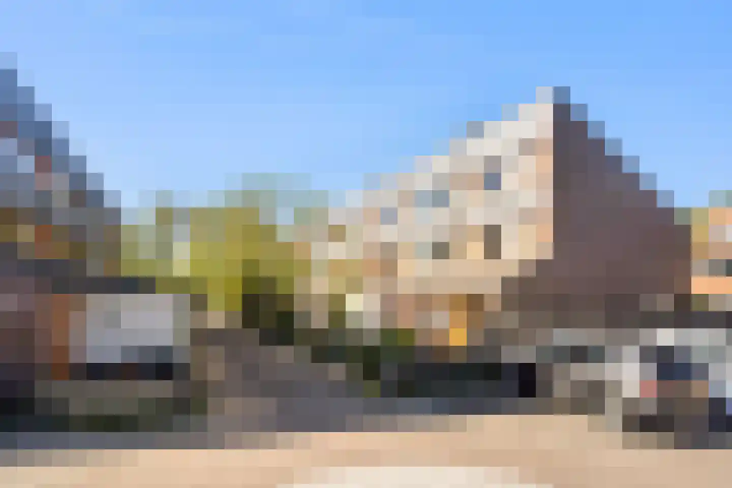 Veenzoom 221 Gouda thumbnail 5