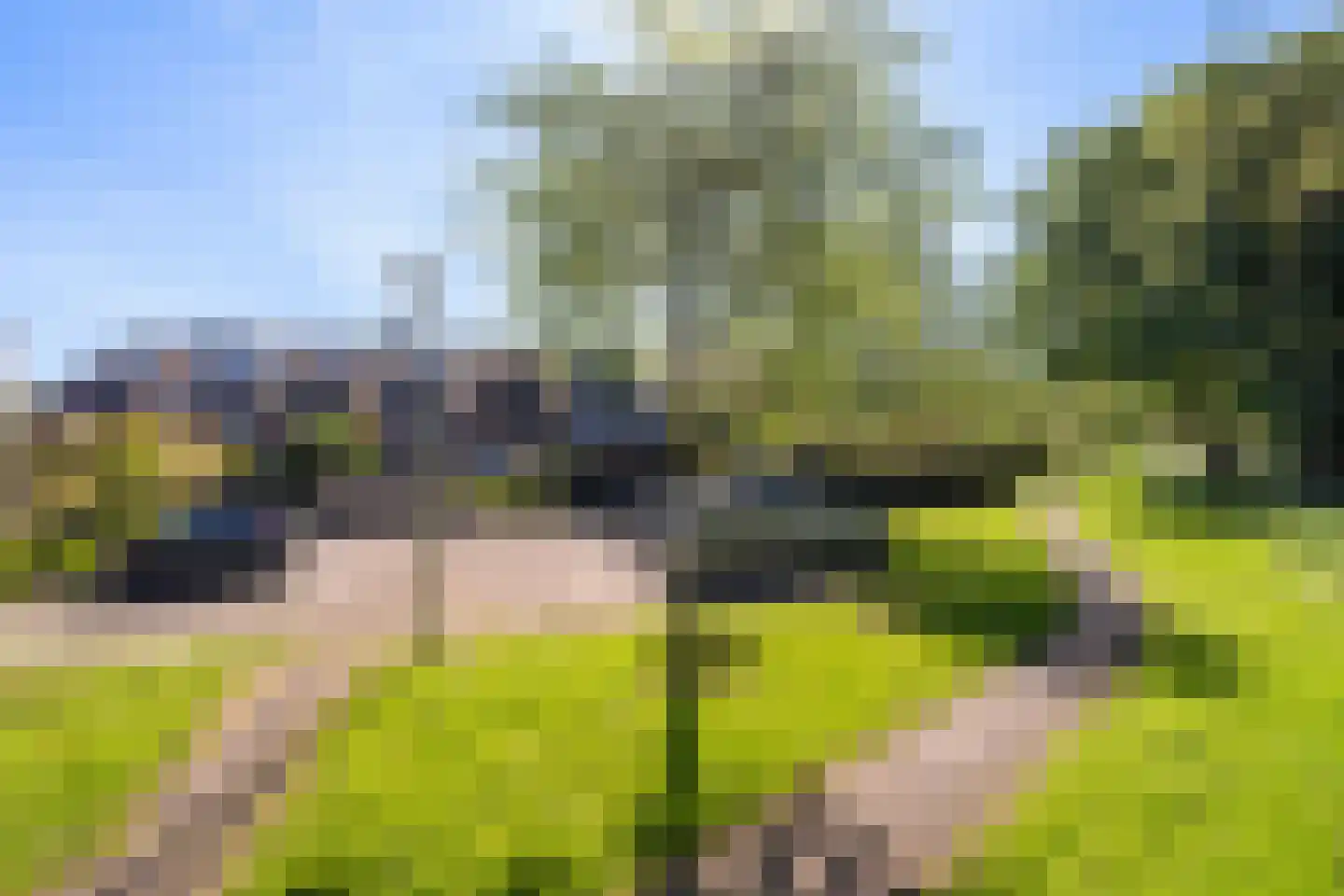 Veenzoom 221 Gouda thumbnail 50