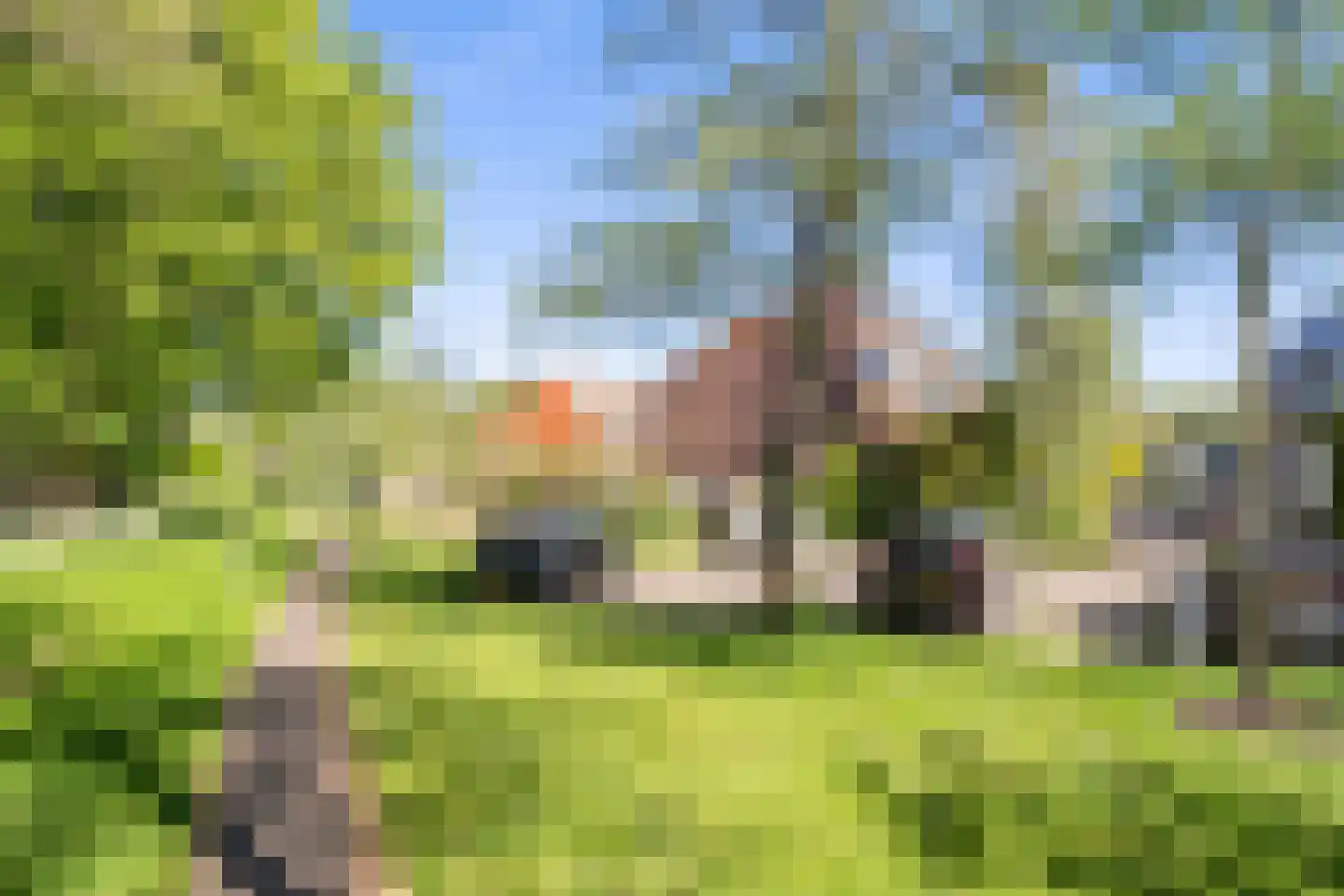Veenzoom 221 Gouda thumbnail 52